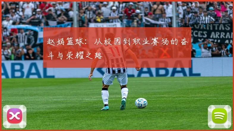 赵娟篮球：从校园到职业赛场的奋斗与荣耀之路