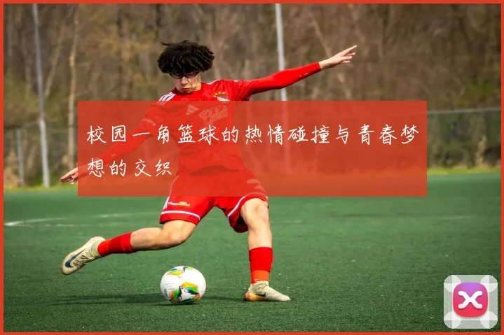 校园一角篮球的热情碰撞与青春梦想的交织