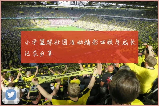 小学篮球社团活动精彩回顾与成长记录分享