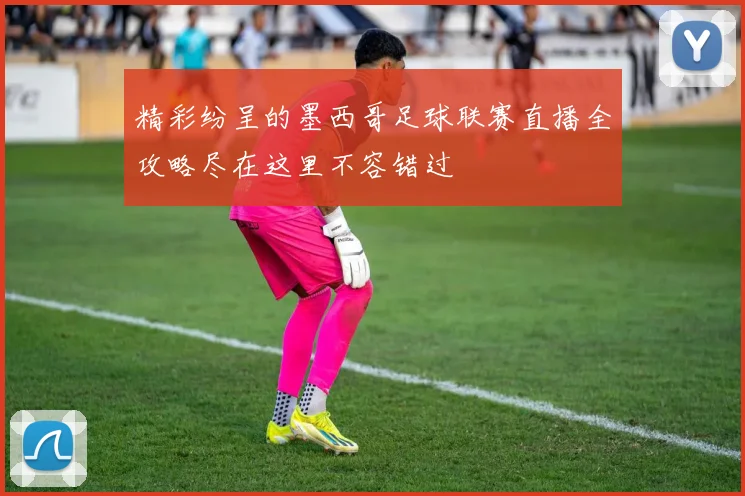 精彩纷呈的墨西哥足球联赛直播全攻略尽在这里不容错过