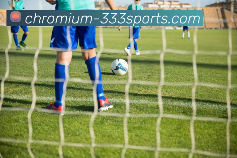 333体育APP 封面图